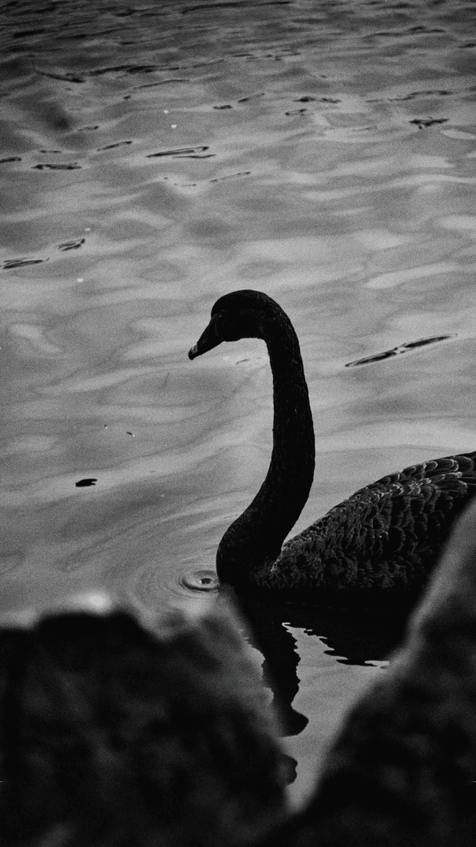 9:16 vertical format